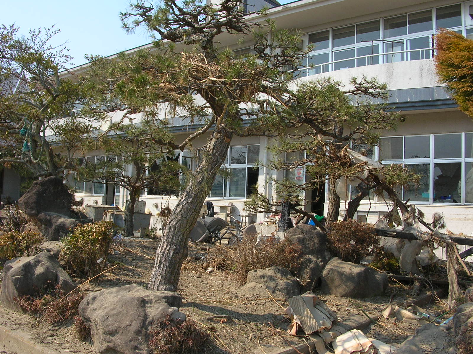2011年4月14日の東六郷小学校付近