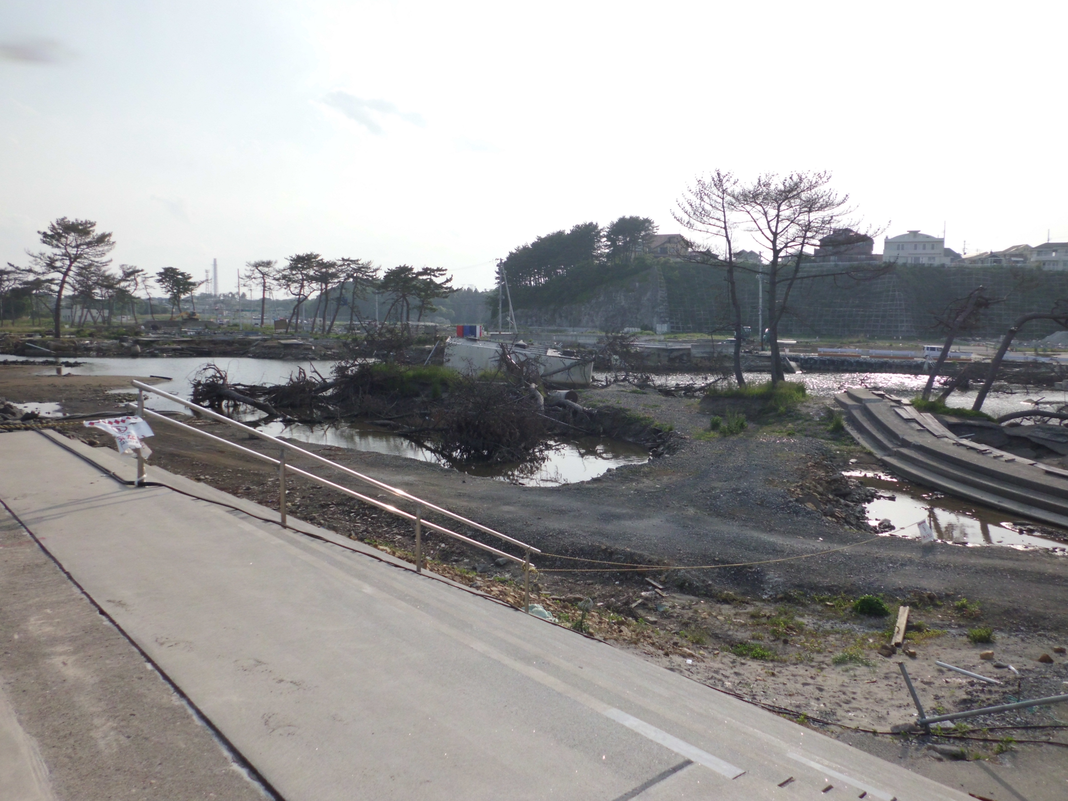 MEME写真20120526菖蒲田浜海水浴場