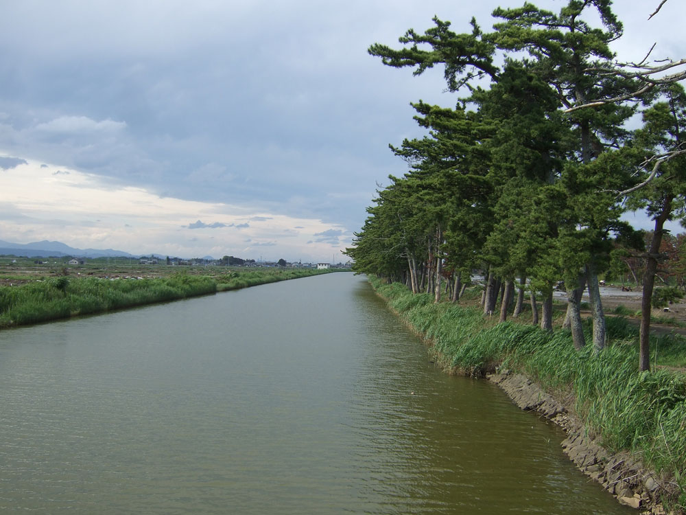 震災後の貞山運河の様子（1）